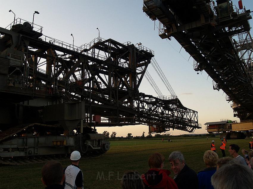 Bagger auf Reisen P246.JPG